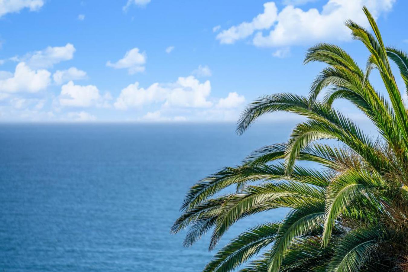 613 Bayview Drive, Aptos, CA, 95003, United States, 4 Bedrooms Bedrooms, ,3 BathroomsBathrooms,Residential,For Sale,613 Bayview Drive,1334380