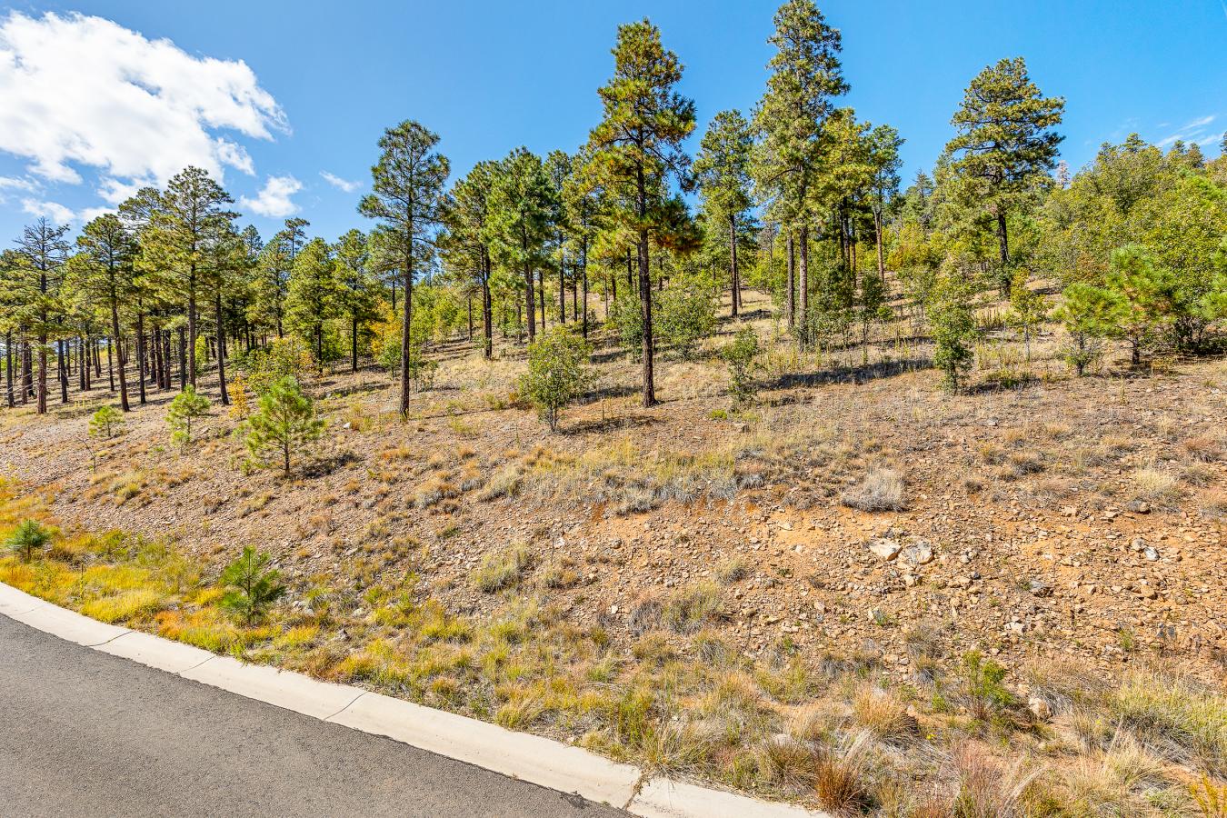 1300 W Lower Coconino Avenue, Flagstaff, AZ, 86001, United States, ,Residential,For Sale,1300 W Lower Coconino Avenue,1381188