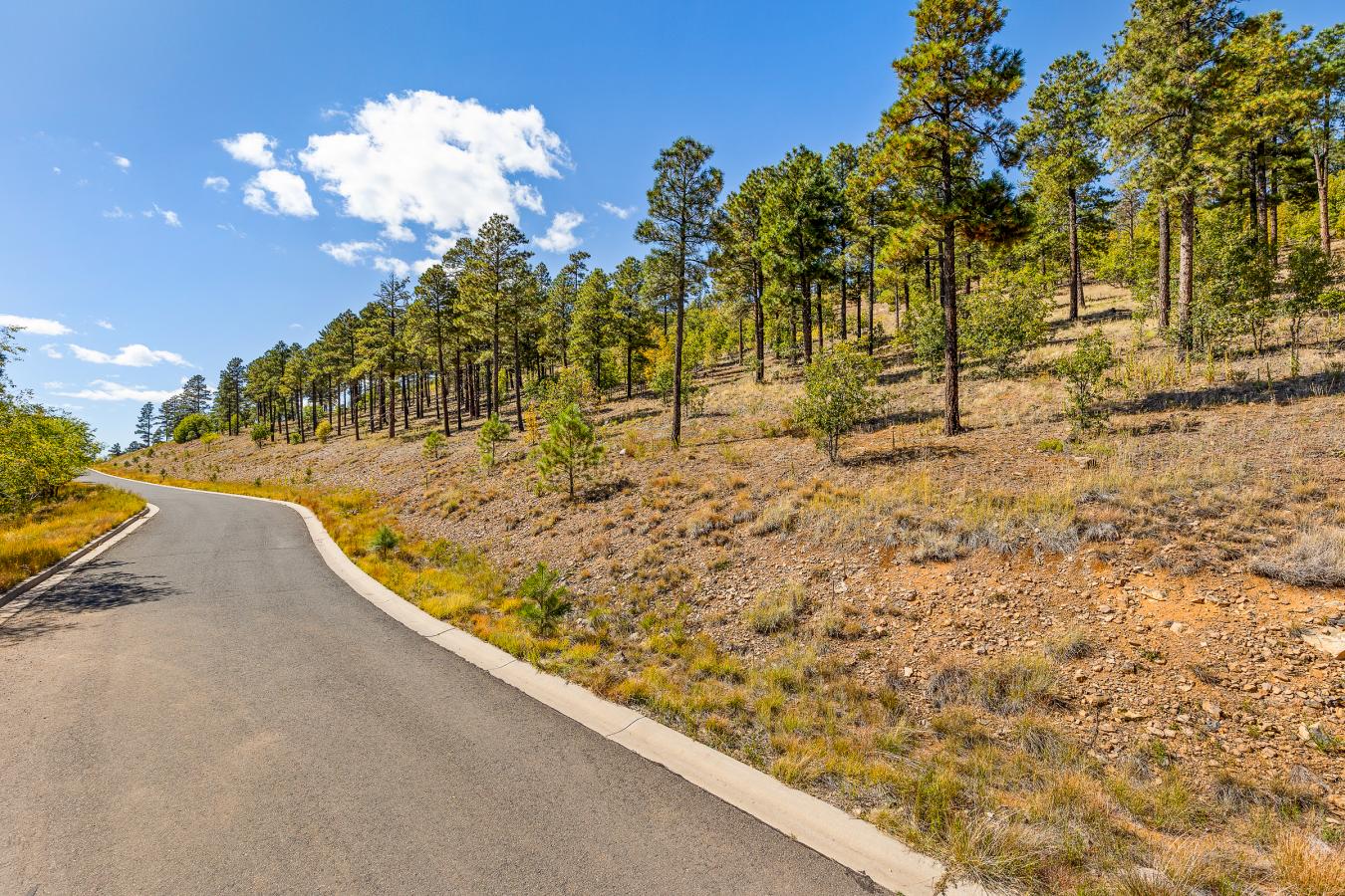 1300 W Lower Coconino Avenue, Flagstaff, AZ, 86001, United States, ,Residential,For Sale,1300 W Lower Coconino Avenue,1381188