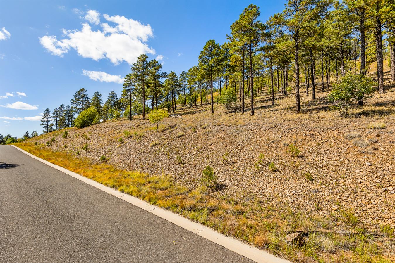 1300 W Lower Coconino Avenue, Flagstaff, AZ, 86001, United States, ,Residential,For Sale,1300 W Lower Coconino Avenue,1381188