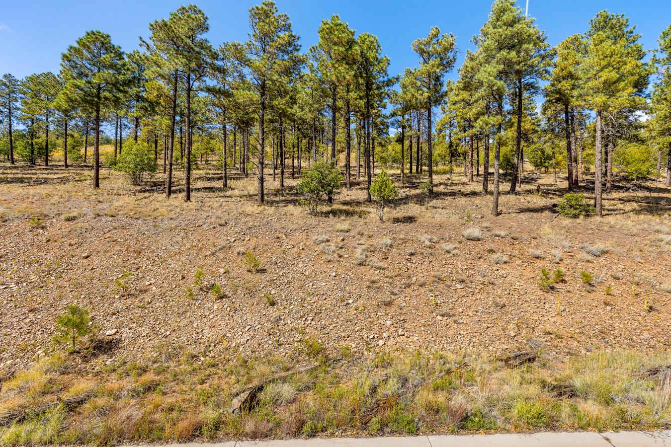 1300 W Lower Coconino Avenue, Flagstaff, AZ, 86001, United States, ,Residential,For Sale,1300 W Lower Coconino Avenue,1381188