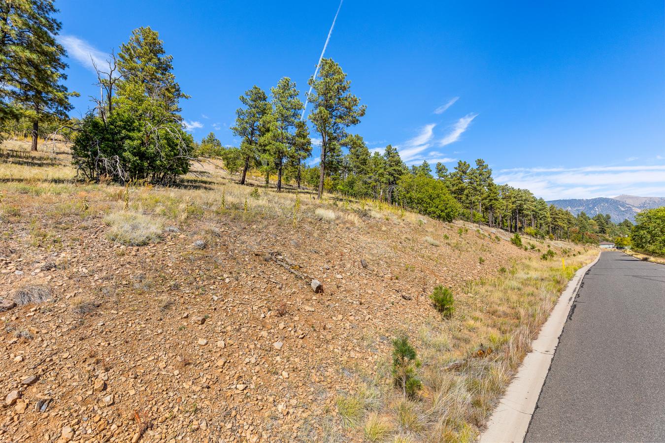 1300 W Lower Coconino Avenue, Flagstaff, AZ, 86001, United States, ,Residential,For Sale,1300 W Lower Coconino Avenue,1381188