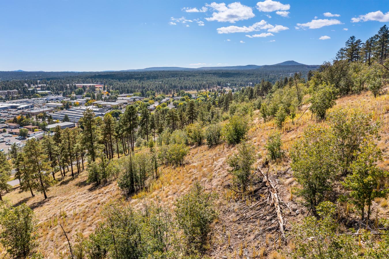 1300 W Lower Coconino Avenue, Flagstaff, AZ, 86001, United States, ,Residential,For Sale,1300 W Lower Coconino Avenue,1381188