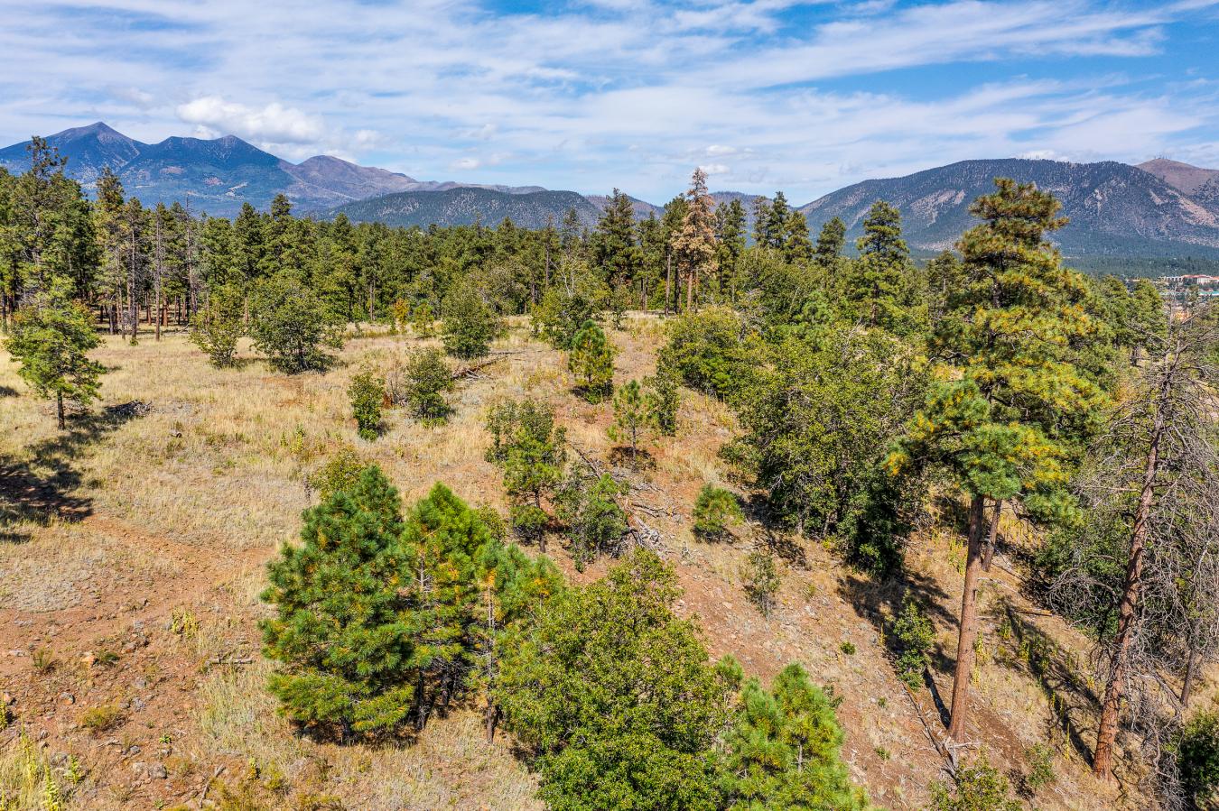 1300 W Lower Coconino Avenue, Flagstaff, AZ, 86001, United States, ,Residential,For Sale,1300 W Lower Coconino Avenue,1381188
