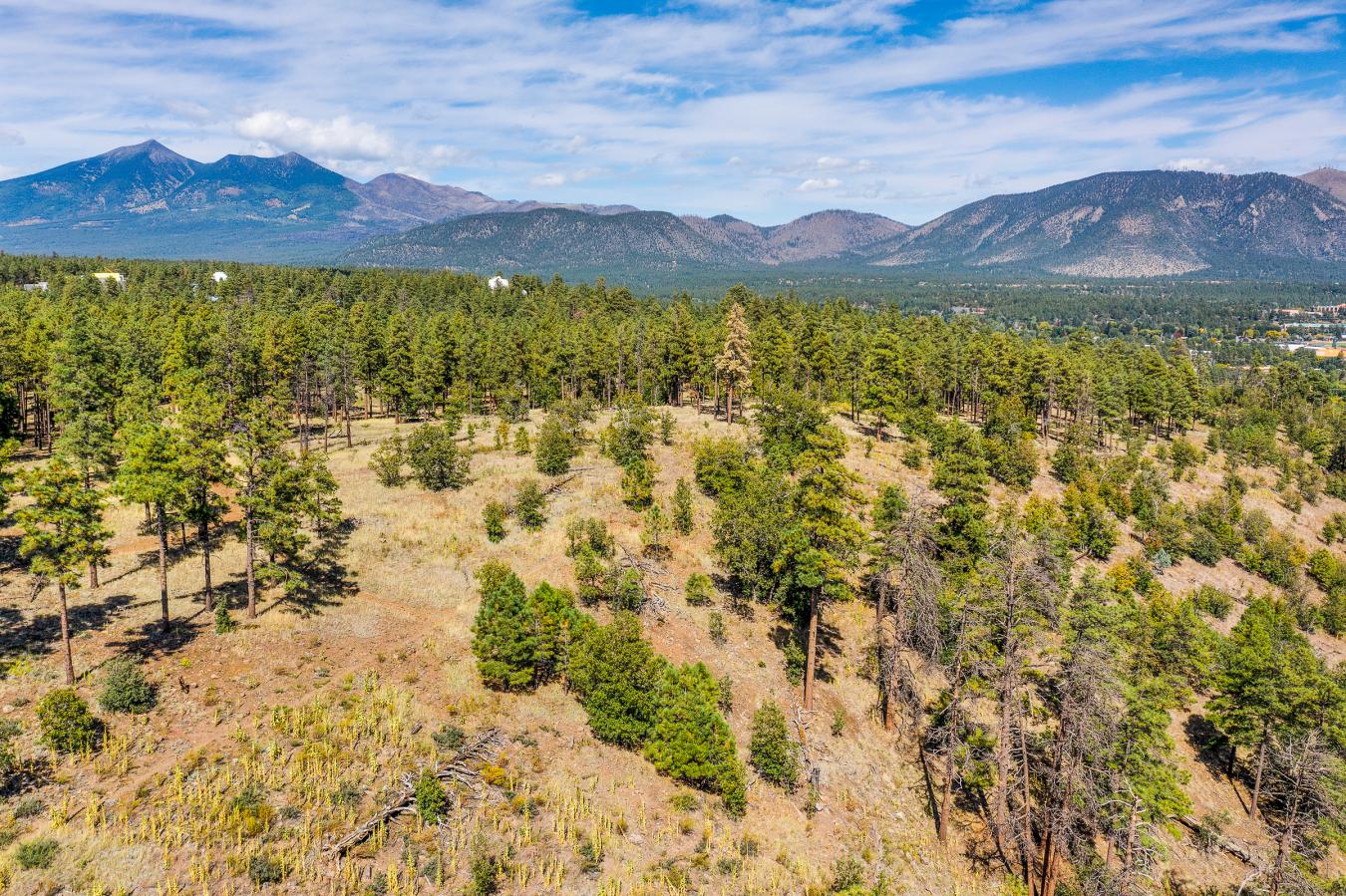 1300 W Lower Coconino Avenue, Flagstaff, AZ, 86001, United States, ,Residential,For Sale,1300 W Lower Coconino Avenue,1381188