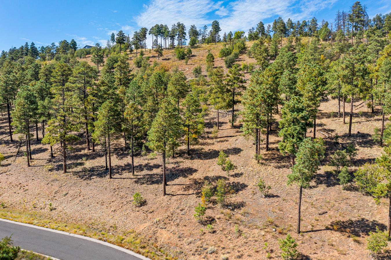 1300 W Lower Coconino Avenue, Flagstaff, AZ, 86001, United States, ,Residential,For Sale,1300 W Lower Coconino Avenue,1381188
