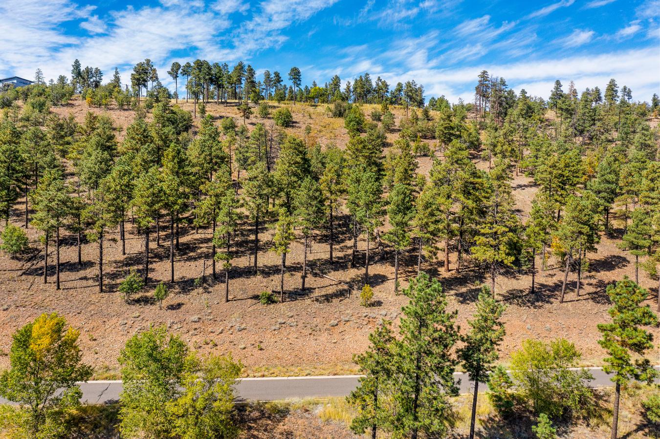 1300 W Lower Coconino Avenue, Flagstaff, AZ, 86001, United States, ,Residential,For Sale,1300 W Lower Coconino Avenue,1381188