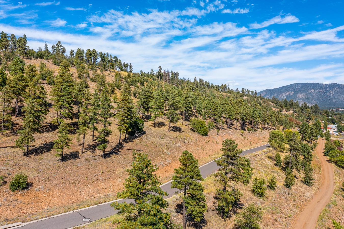1300 W Lower Coconino Avenue, Flagstaff, AZ, 86001, United States, ,Residential,For Sale,1300 W Lower Coconino Avenue,1381188