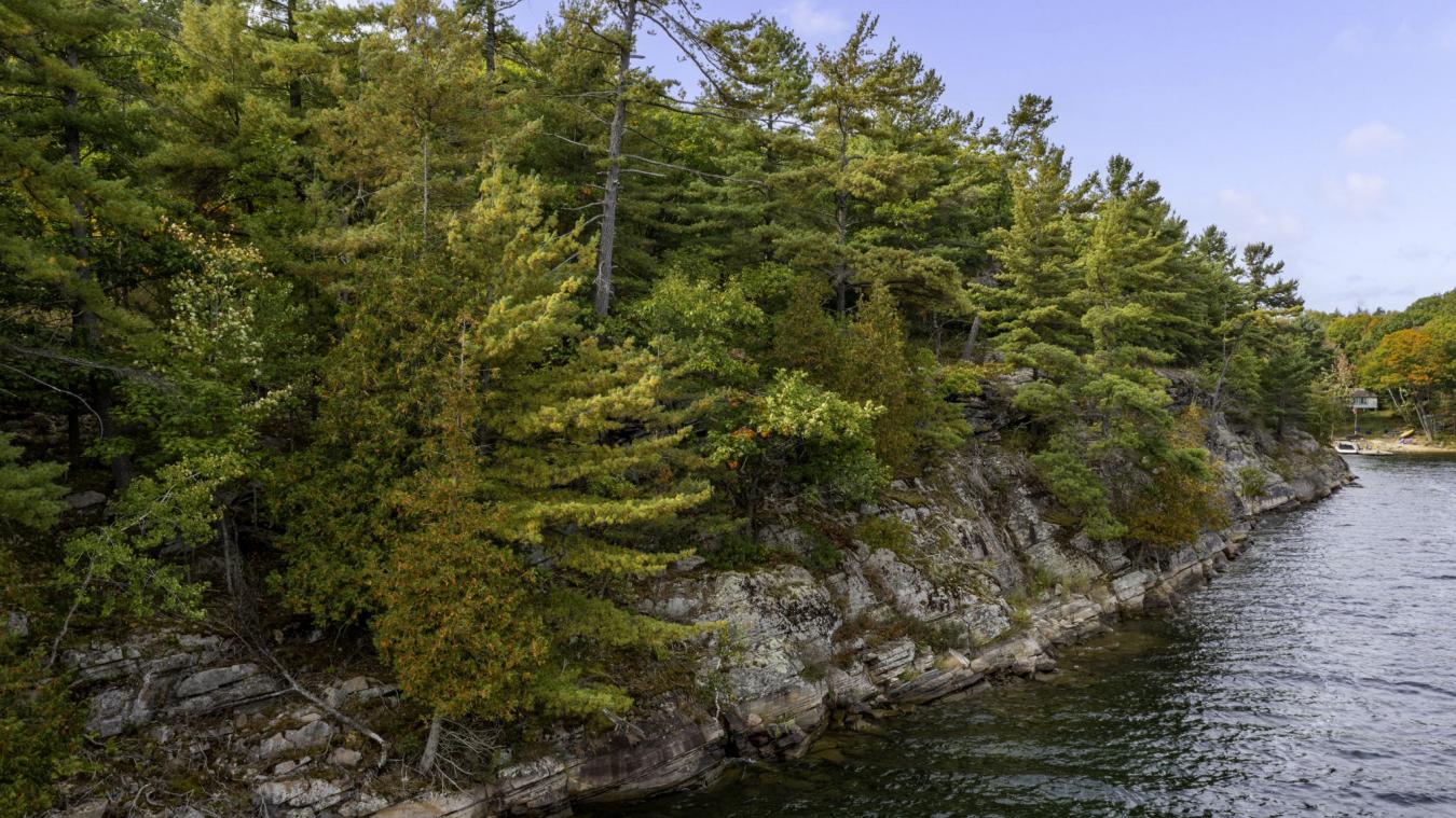 Blind Bay Cottage Road, Carling, ON, P0G 1G0, Canada, ,Residential,For Sale,Blind Bay Cottage Road,1381185
