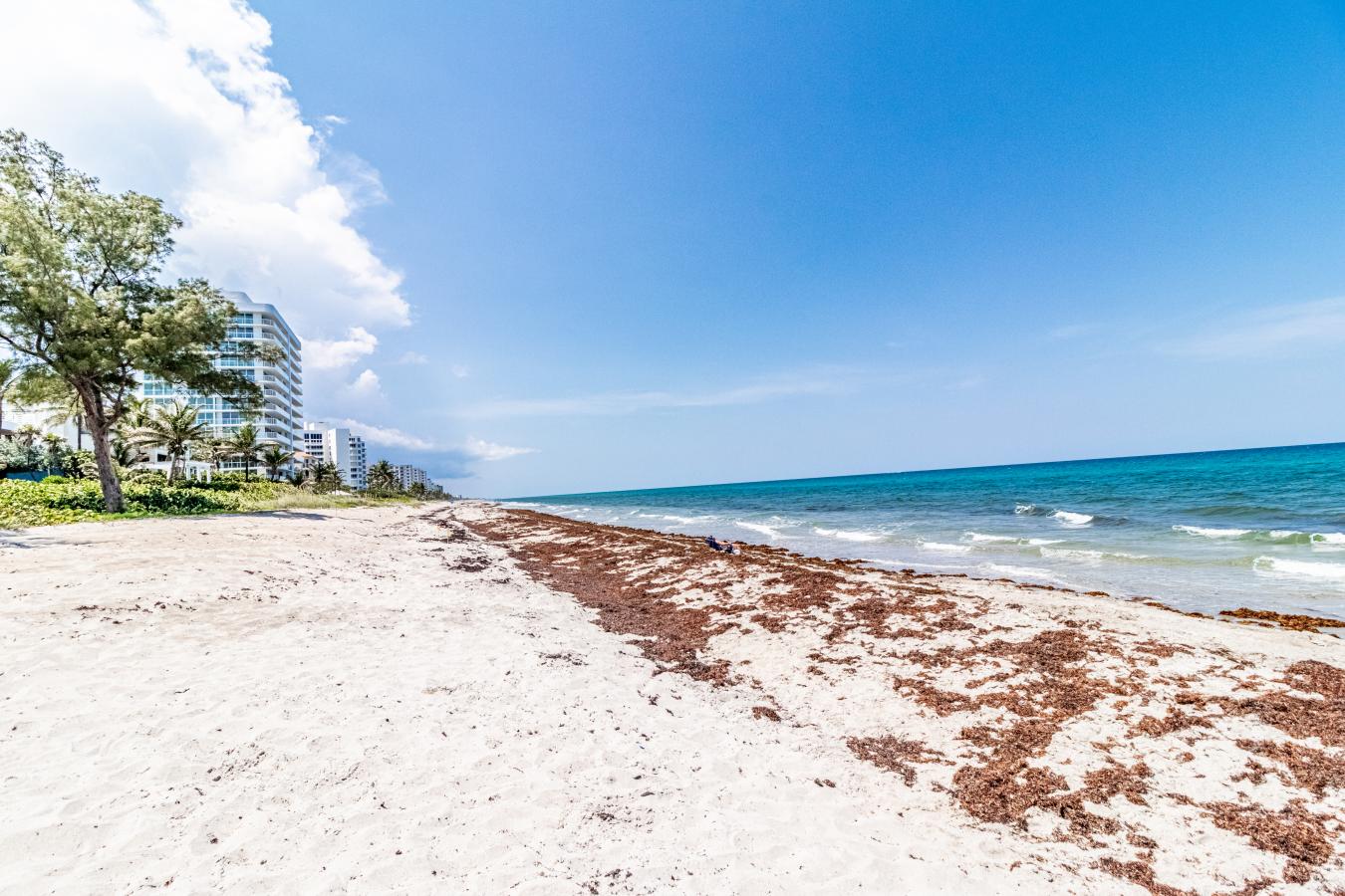 3594 S Ocean Boulevard, Highland Beach, FL, 33487, United States, 2 Bedrooms Bedrooms, ,2 BathroomsBathrooms,Residential,For Sale,3594 S Ocean Boulevard,1390301