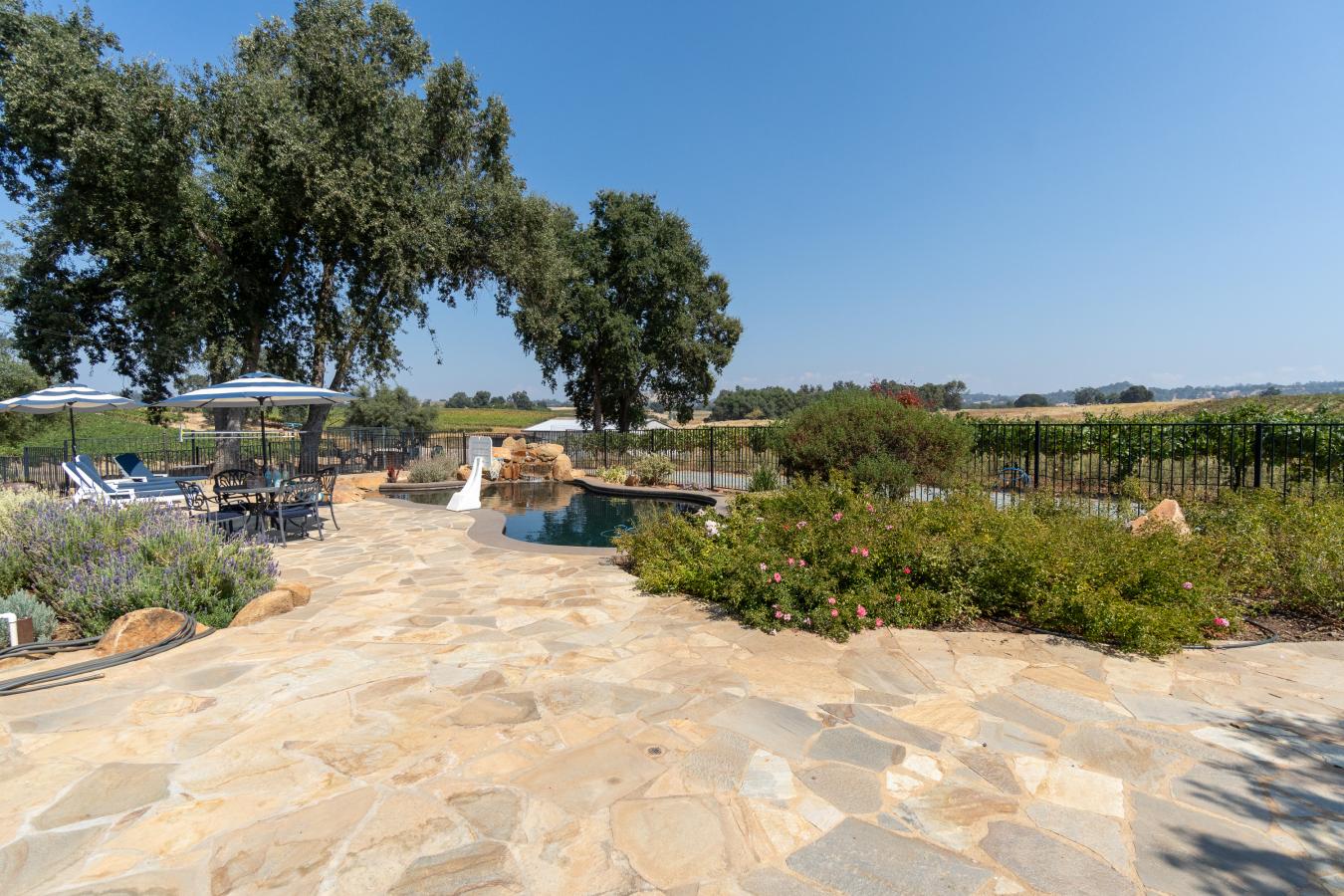 10786 Shenandoah Road, Plymouth, CA, 95669, United States, 4 Bedrooms Bedrooms, ,5 BathroomsBathrooms,Residential,For Sale,10786 Shenandoah Road,1397592
