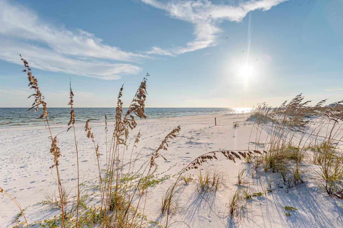 100 Grayton Boulevard, Santa Rosa Beach, Florida, 32459, United States, 3 Bedrooms Bedrooms, ,4 BathroomsBathrooms,Residential,For Sale,100 Grayton Boulevard,1400933
