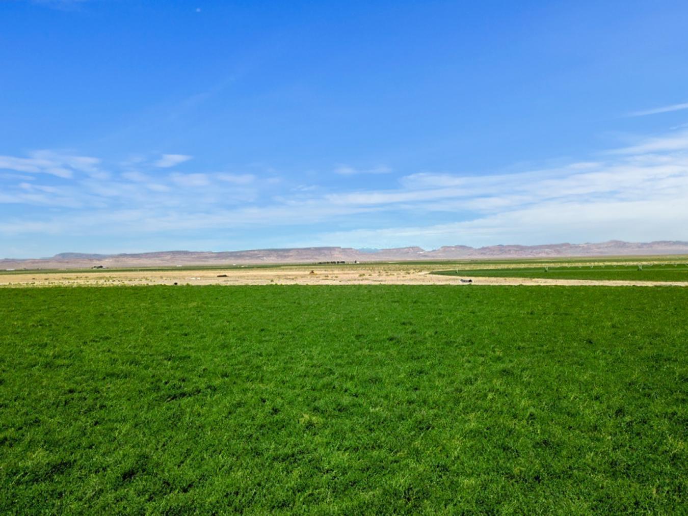 947277 Railroad Valley Road, Tonopah, NV, 89049, United States, 2 Bedrooms Bedrooms, ,1 BathroomBathrooms,Residential,For Sale,947277 Railroad Valley Road,1400928