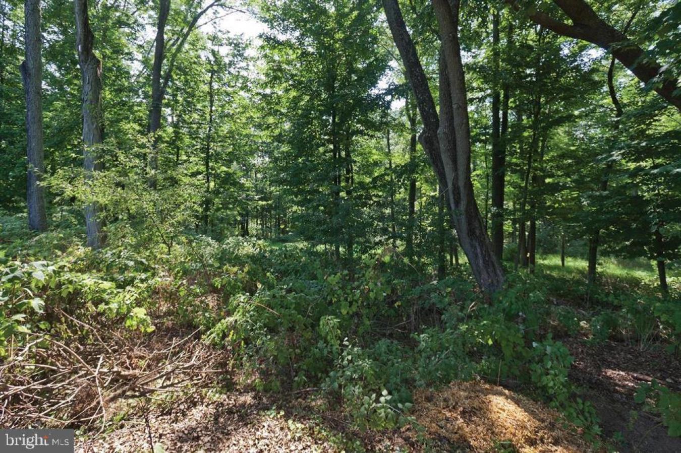 75 COVERED BRIDGE, NEW HOPE, Pennsylvania, 18938, United States, ,Residential,For Sale,75 COVERED BRIDGE,1413188