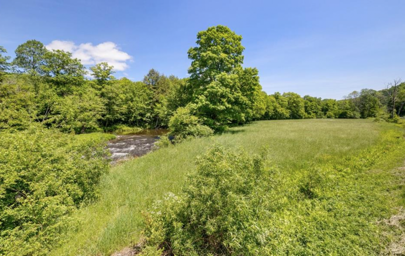 2018 Beaverkill Road, Livingston Manor, NY, 12758, United States, 5 Bedrooms Bedrooms, ,2 BathroomsBathrooms,Residential,For Sale,2018 Beaverkill Road,1432544