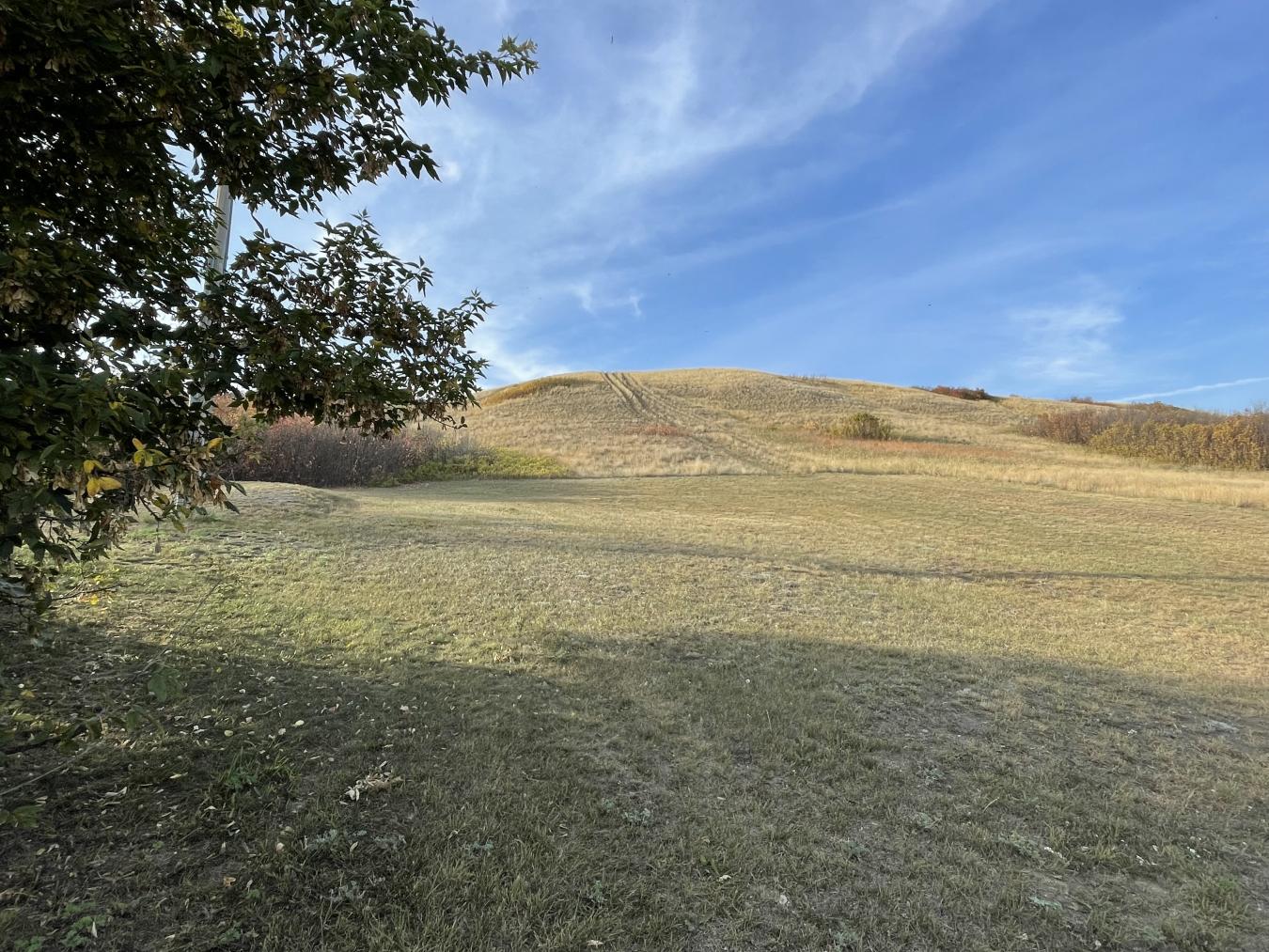 Resort Village of Thode, SK, S7C 0A4, Canada, ,Residential,For Sale,1677755