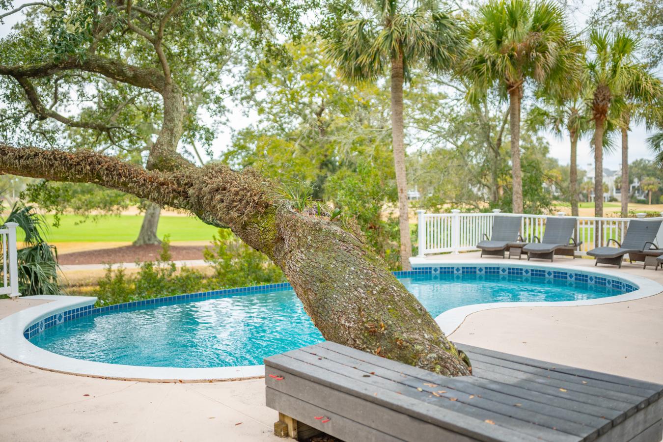 24 DUNE RIDGE LANE, Isle of Palms, SC, 29451, United States, 5 Bedrooms Bedrooms, ,5 BathroomsBathrooms,Residential,For Sale,24 DUNE RIDGE LANE,1457447