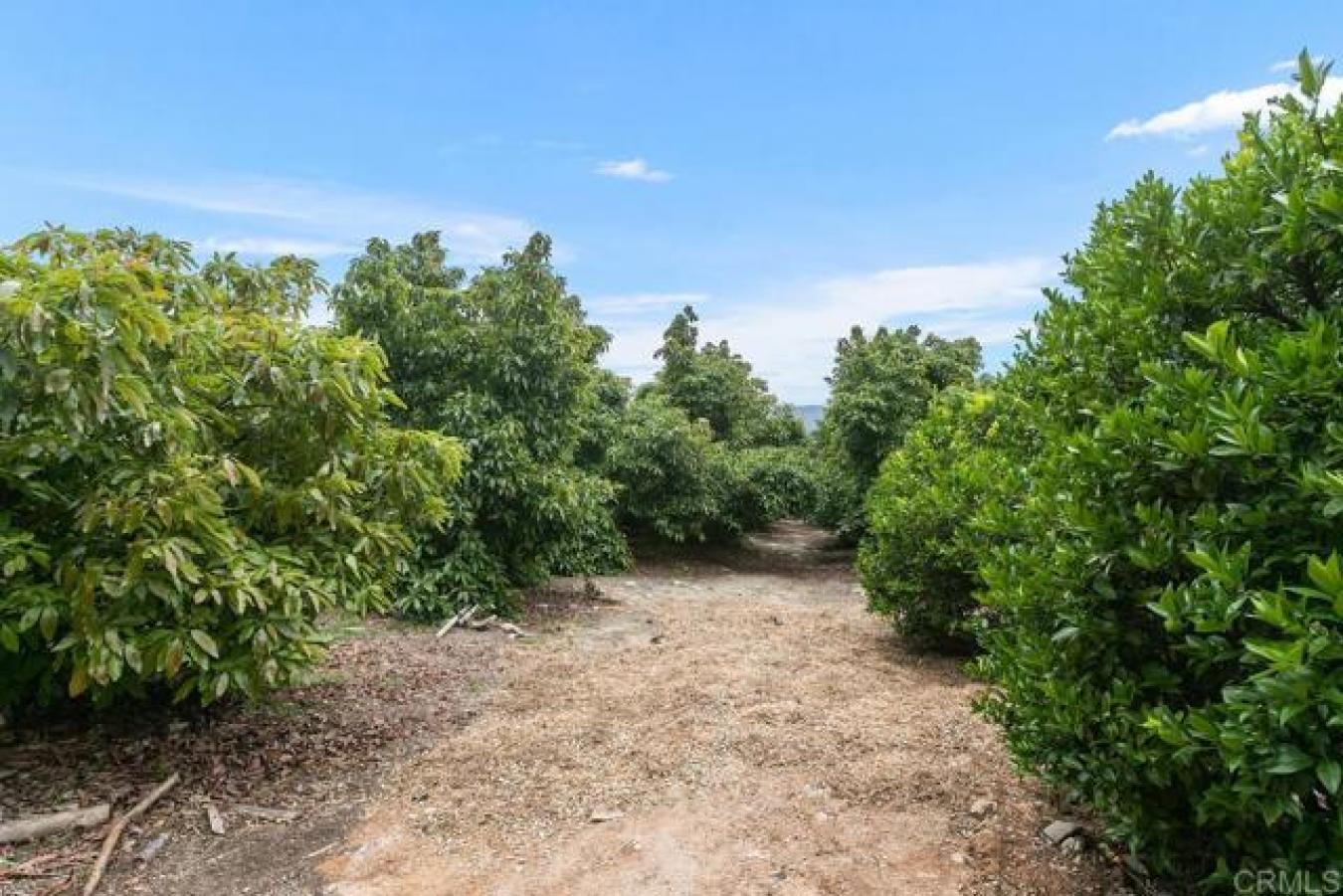 17303 HWY 76, Pauma Valley, California, 92061, United States, ,Residential,For Sale,17303 HWY 76,1466409