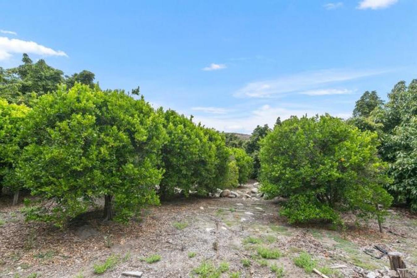 17303 HWY 76, Pauma Valley, California, 92061, United States, ,Residential,For Sale,17303 HWY 76,1466409