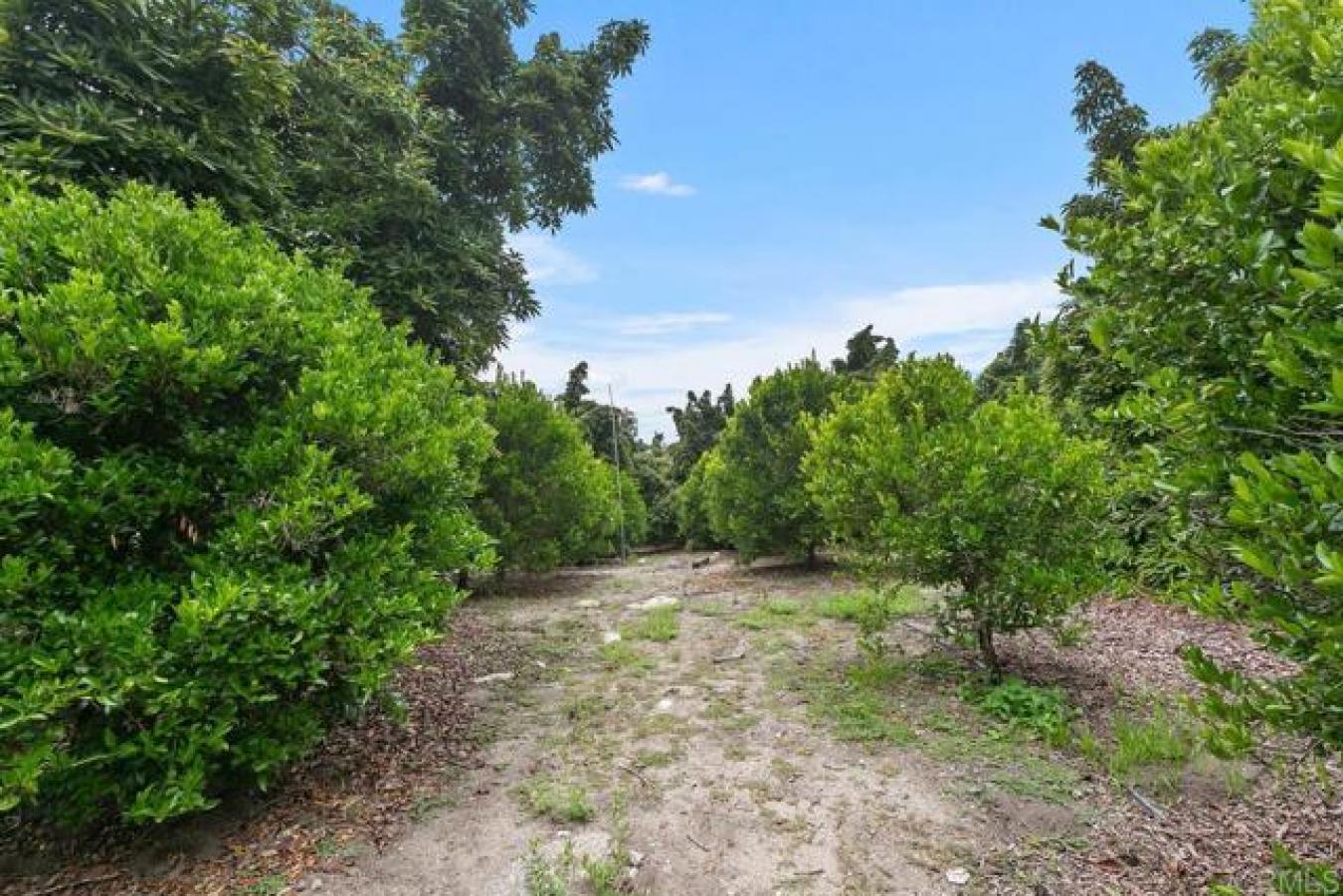 17303 HWY 76, Pauma Valley, California, 92061, United States, ,Residential,For Sale,17303 HWY 76,1466409