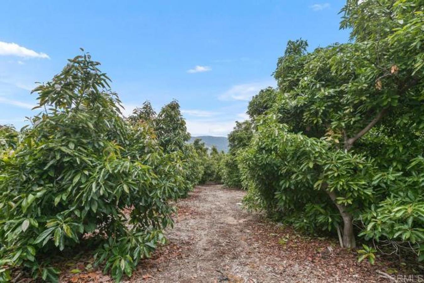 17303 HWY 76, Pauma Valley, California, 92061, United States, ,Residential,For Sale,17303 HWY 76,1466409