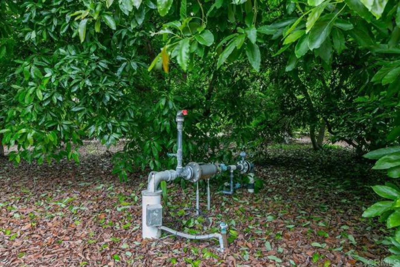 17303 HWY 76, Pauma Valley, California, 92061, United States, ,Residential,For Sale,17303 HWY 76,1466409