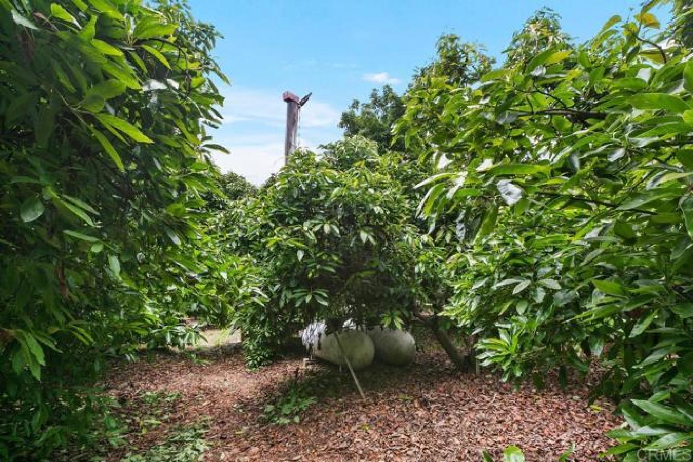 17303 HWY 76, Pauma Valley, California, 92061, United States, ,Residential,For Sale,17303 HWY 76,1466409