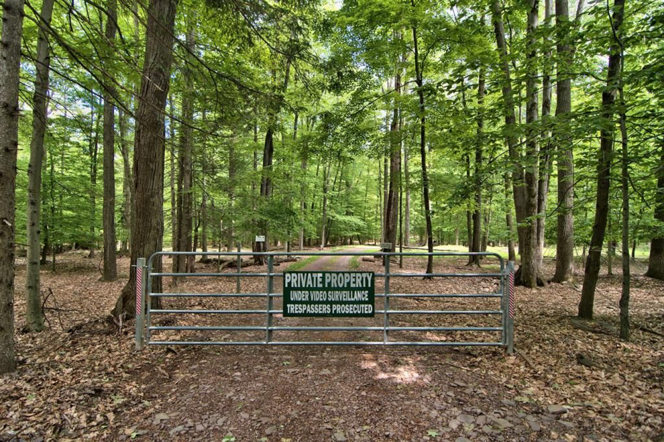 1028 Bobbalink Drive, Lake Ariel, PA, 18436, United States, 8 Bedrooms Bedrooms, ,5 BathroomsBathrooms,Residential,For Sale,1028 Bobbalink Drive,795074