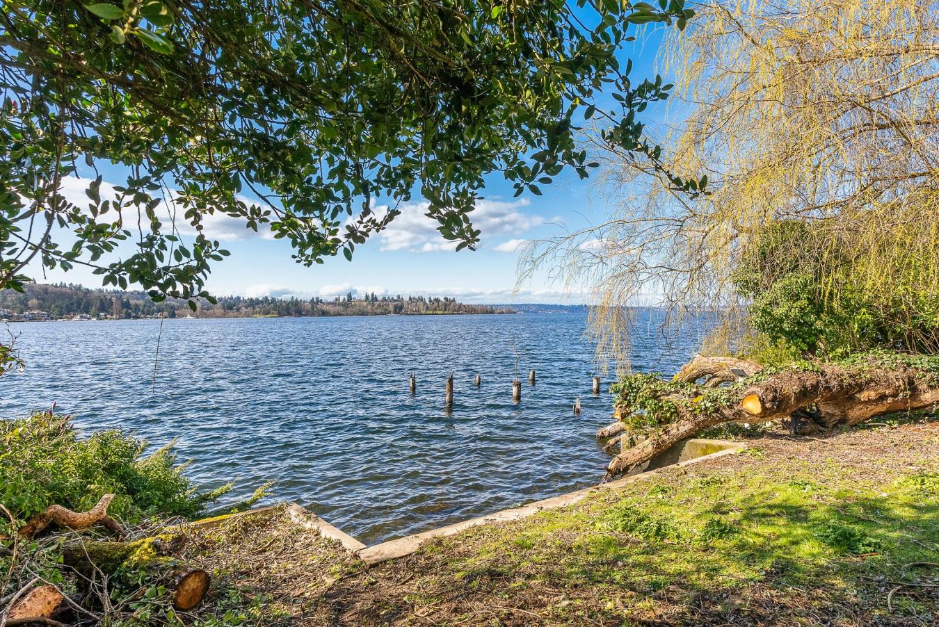 2521 103rd Ave SE, Bellevue, WA, 98004, United States, 2 Bedrooms Bedrooms, ,2 BathroomsBathrooms,Residential,For Sale,2521 103rd Ave SE,1477643