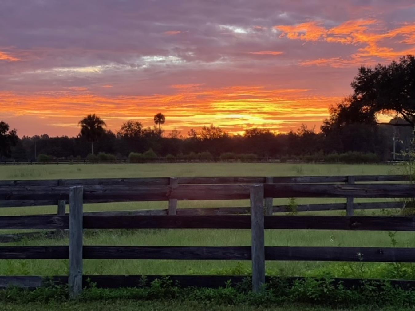 12275 W Highway 318, Reddick, Florida, 32686, United States, 5 Bedrooms Bedrooms, ,4 BathroomsBathrooms,Residential,For Sale,12275 W Highway 318,1598580