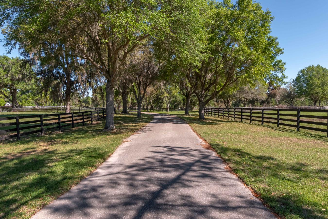 12275 W Highway 318, Reddick, Florida, 32686, United States, 5 Bedrooms Bedrooms, ,4 BathroomsBathrooms,Residential,For Sale,12275 W Highway 318,1598580