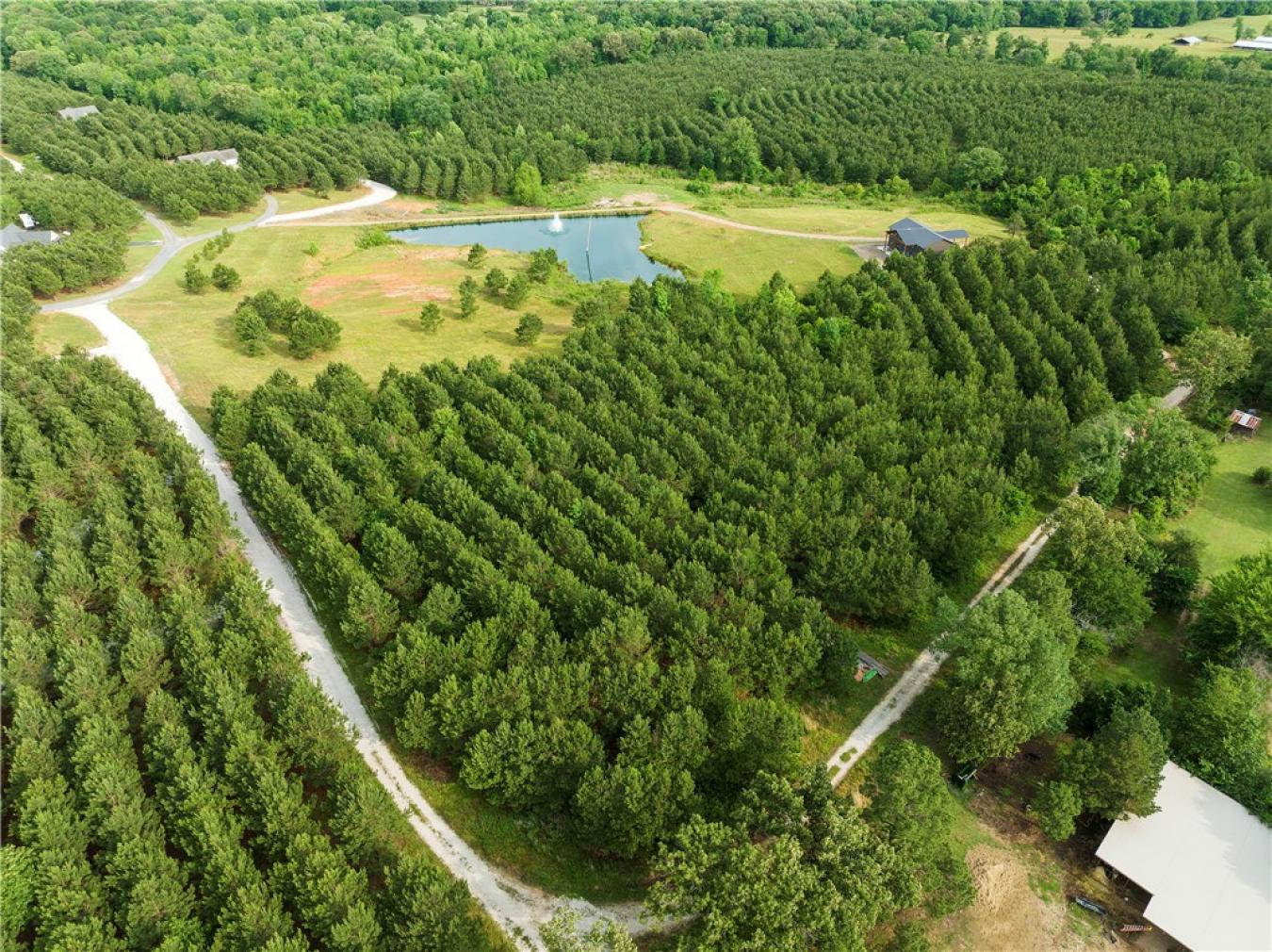 92 Sawtooth Acorn Lane, Broken Bow, OK, 74728, United States, 4 Bedrooms Bedrooms, ,3 BathroomsBathrooms,Residential,For Sale,92 Sawtooth Acorn Lane,1483608