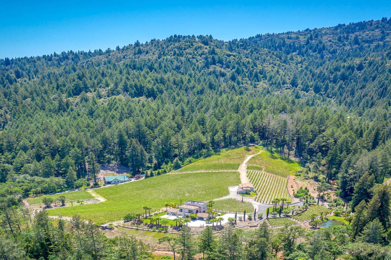 4447 St. Helena Highway, Calistoga, California, 94515, United States, 3 Bedrooms Bedrooms, ,3 BathroomsBathrooms,Residential,For Sale,4447 St. Helena Highway,1484522