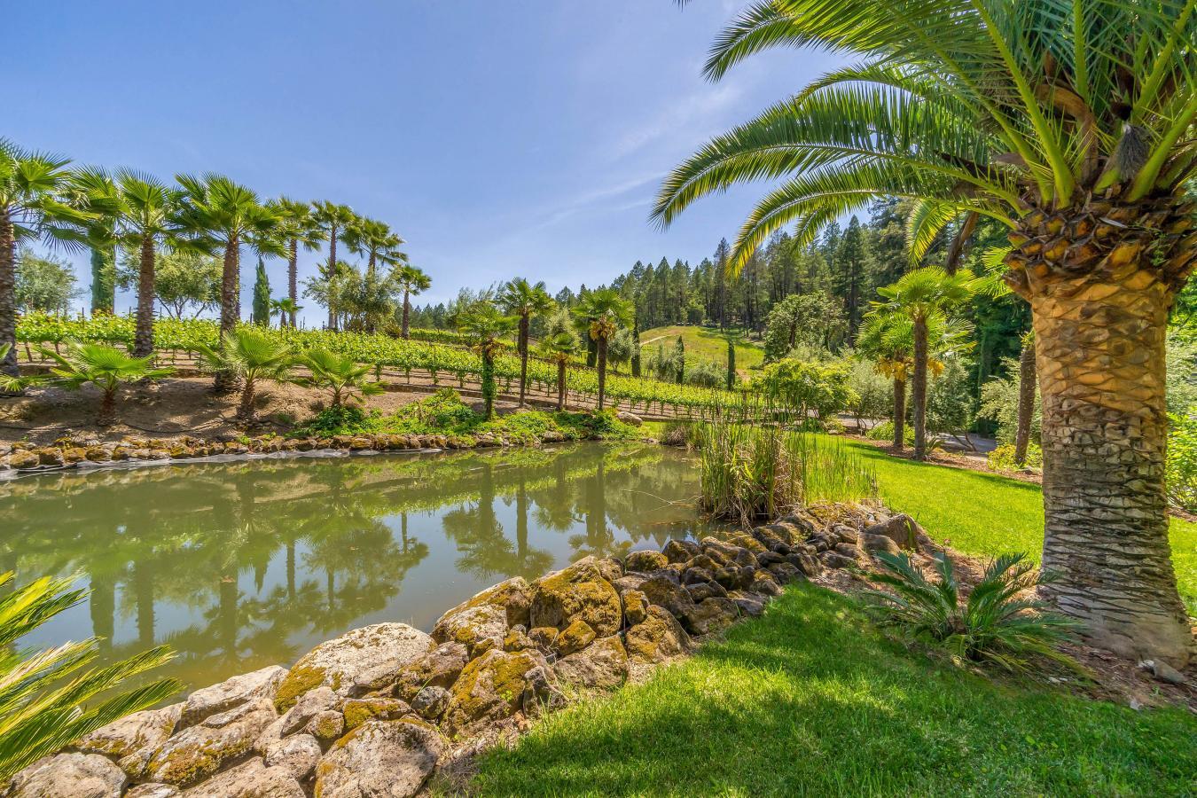 4447 St. Helena Highway, Calistoga, California, 94515, United States, 3 Bedrooms Bedrooms, ,3 BathroomsBathrooms,Residential,For Sale,4447 St. Helena Highway,1484522