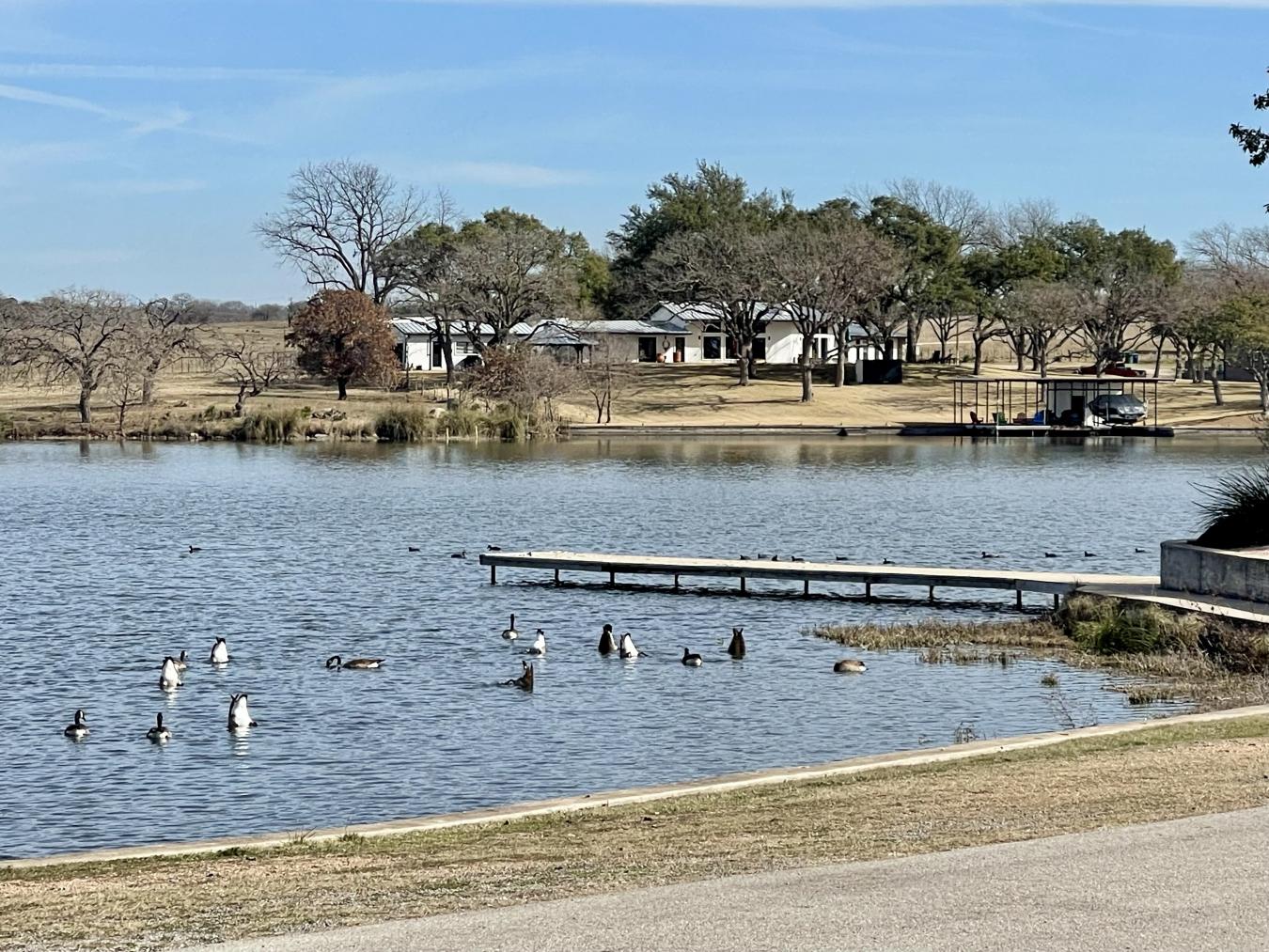 205 DOVE ROAD, Highland Haven, TX, 78654, United States, 4 Bedrooms Bedrooms, ,3 BathroomsBathrooms,Residential,For Sale,205 DOVE ROAD,1484516