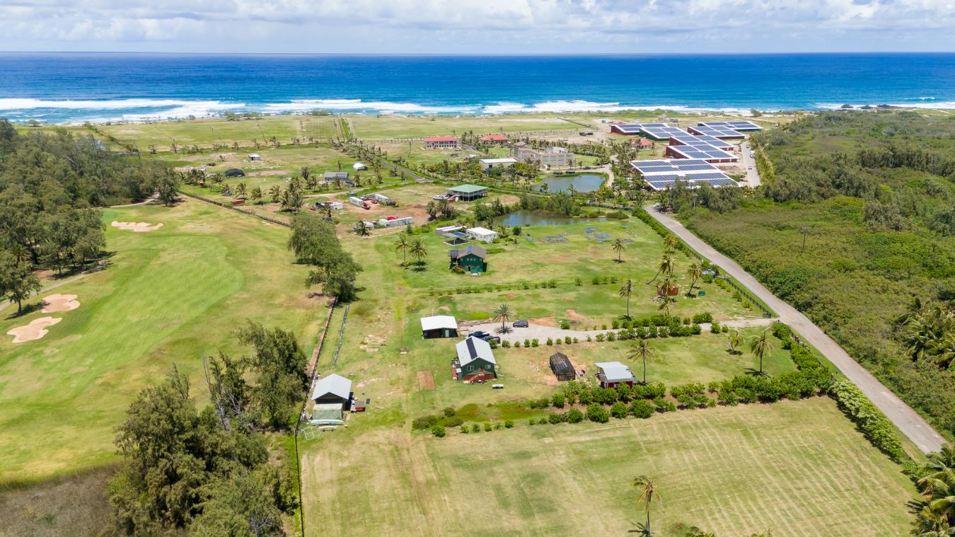56-1081 Kamehameha Hwy, Kahuku, Hawaii, 96731, United States, ,Residential,For Sale,56-1081 Kamehameha Hwy,1492478