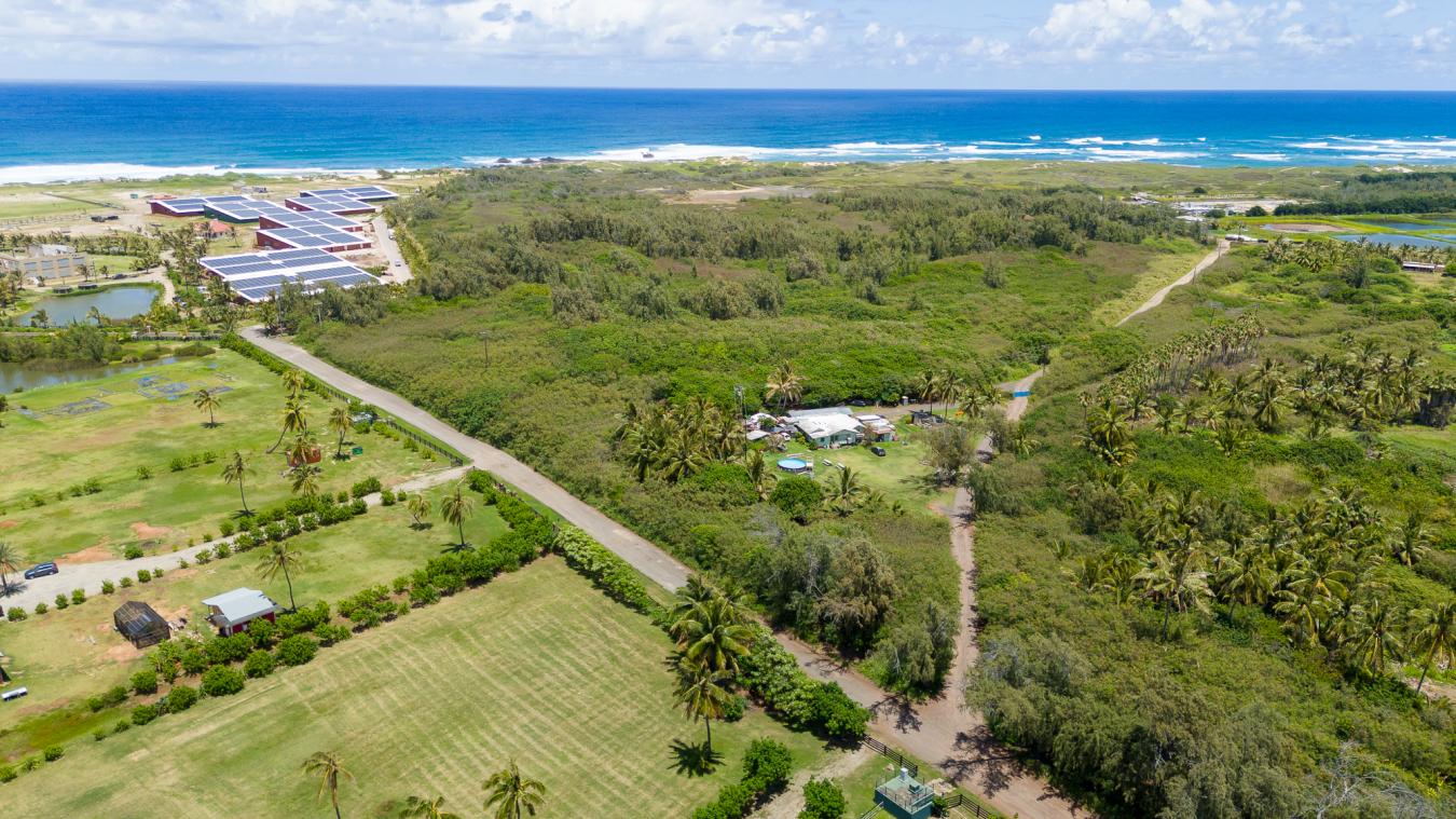 56-1081 Kamehameha Hwy, Kahuku, Hawaii, 96731, United States, ,Residential,For Sale,56-1081 Kamehameha Hwy,1492478