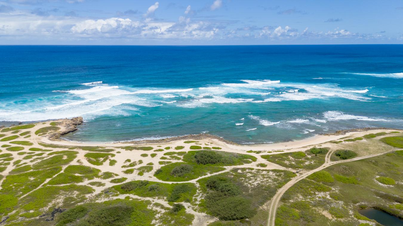 56-1081 Kamehameha Hwy, Kahuku, Hawaii, 96731, United States, ,Residential,For Sale,56-1081 Kamehameha Hwy,1492478