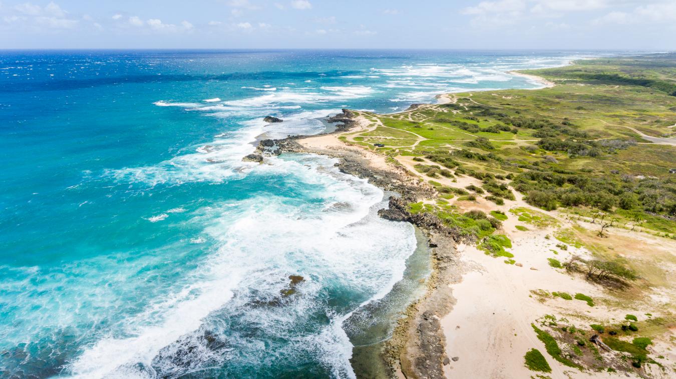 56-1081 Kamehameha Hwy, Kahuku, Hawaii, 96731, United States, ,Residential,For Sale,56-1081 Kamehameha Hwy,1492478