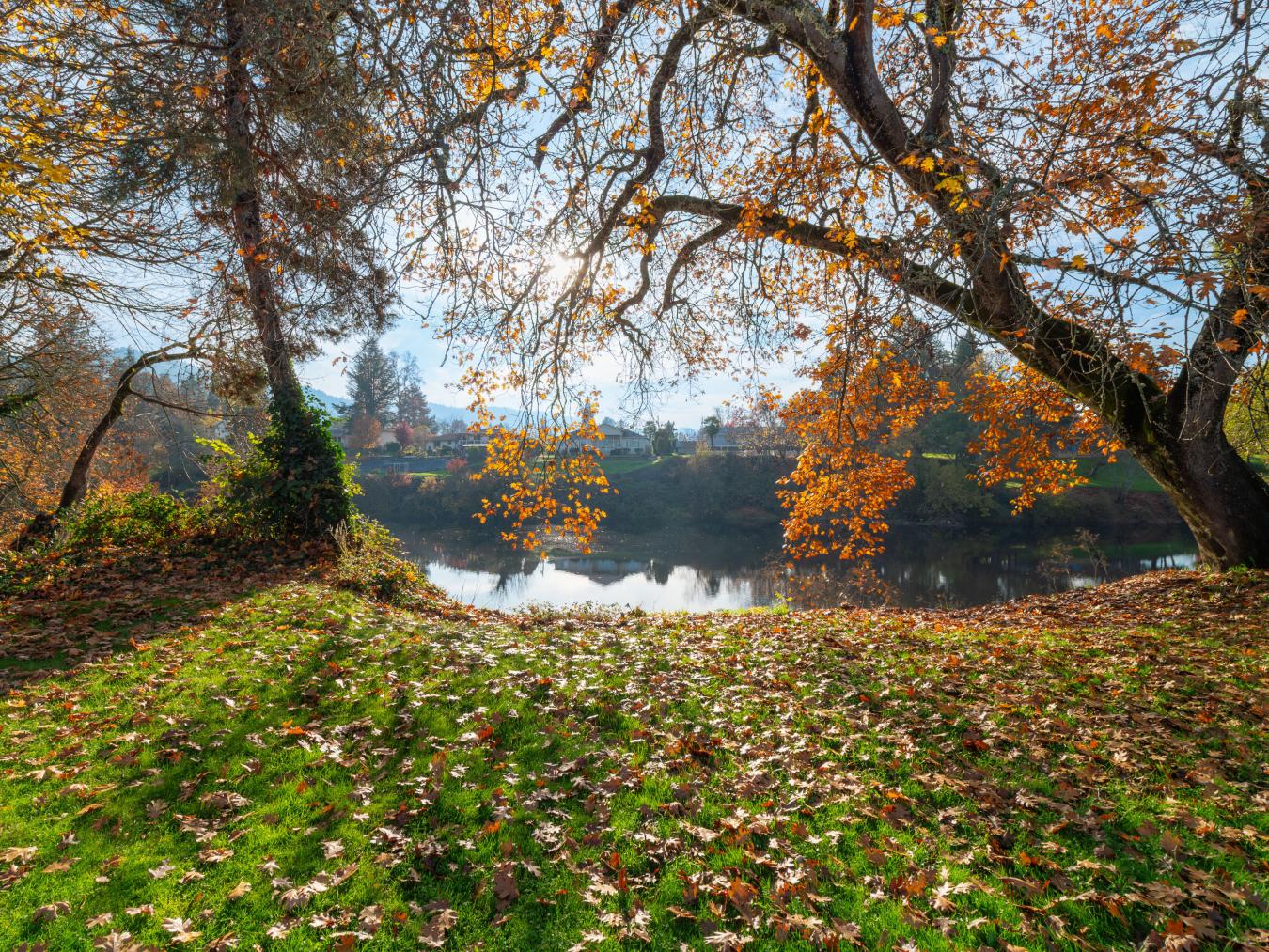 976 Southwater Dr, Roseburg, Oregon, 97471, United States, 3 Bedrooms Bedrooms, ,2 BathroomsBathrooms,Residential,For Sale,976 Southwater Dr,1496782