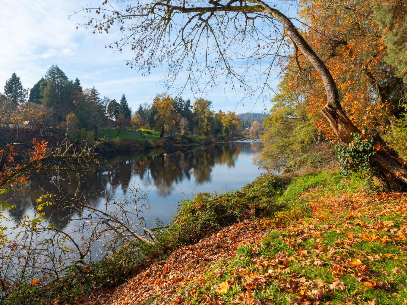 976 Southwater Dr, Roseburg, Oregon, 97471, United States, 3 Bedrooms Bedrooms, ,2 BathroomsBathrooms,Residential,For Sale,976 Southwater Dr,1496782