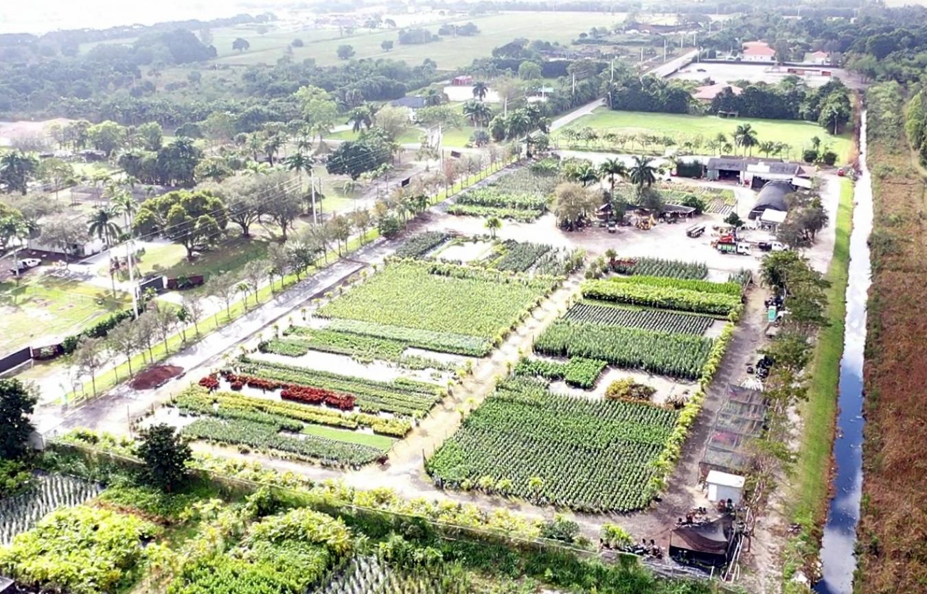 5345 SW 210th Terrace, Southwest Ranches, Florida, 33332, United States, ,Residential,For Sale,5345 SW 210th Terrace,1505869