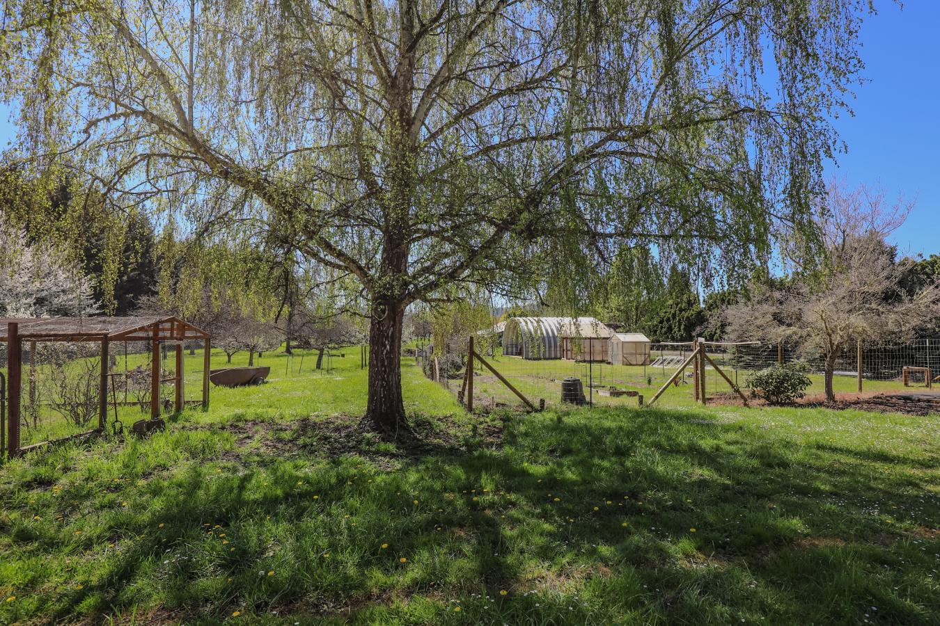 1313 Quail Ln, Roseburg, Oregon, 97471, United States, 3 Bedrooms Bedrooms, ,2 BathroomsBathrooms,Residential,For Sale,1313 Quail Ln,1513232