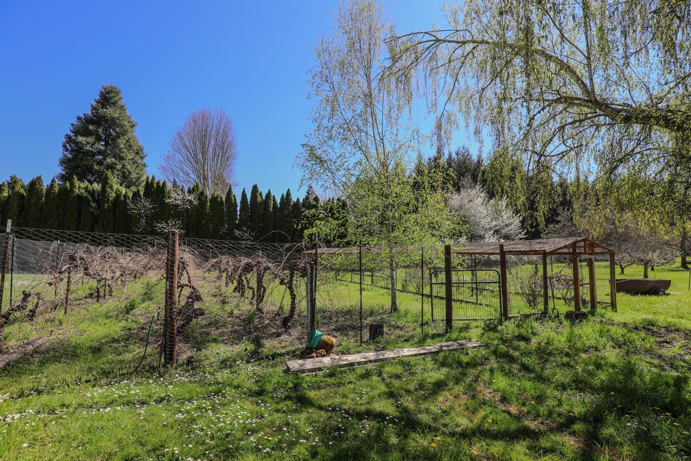 1313 Quail Ln, Roseburg, Oregon, 97471, United States, 3 Bedrooms Bedrooms, ,2 BathroomsBathrooms,Residential,For Sale,1313 Quail Ln,1513232