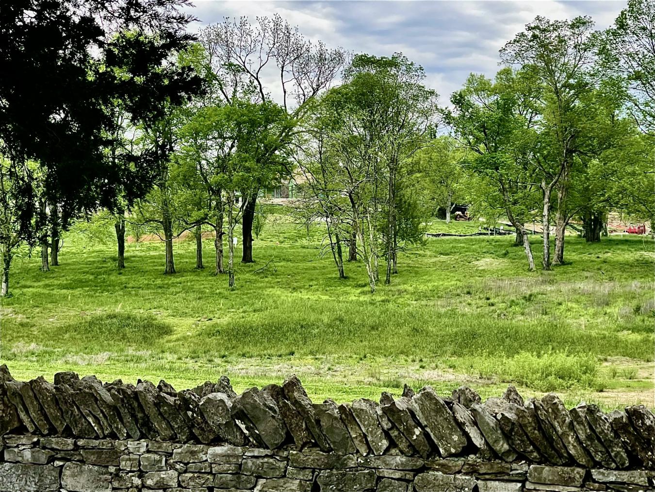 9237 Nina Court, Brentwood, TN, 37027, United States, ,Residential,For Sale,9237 Nina Court,1518796 9237 Nina Court, Brentwood, TN, 37027, United States, ,Residential,For Sale,9237 Nina Court,1518796