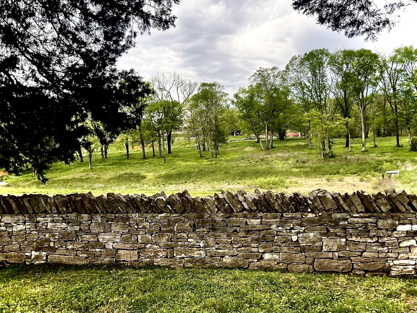 9237 Nina Court, Brentwood, TN, 37027, United States, ,Residential,For Sale,9237 Nina Court,1518796