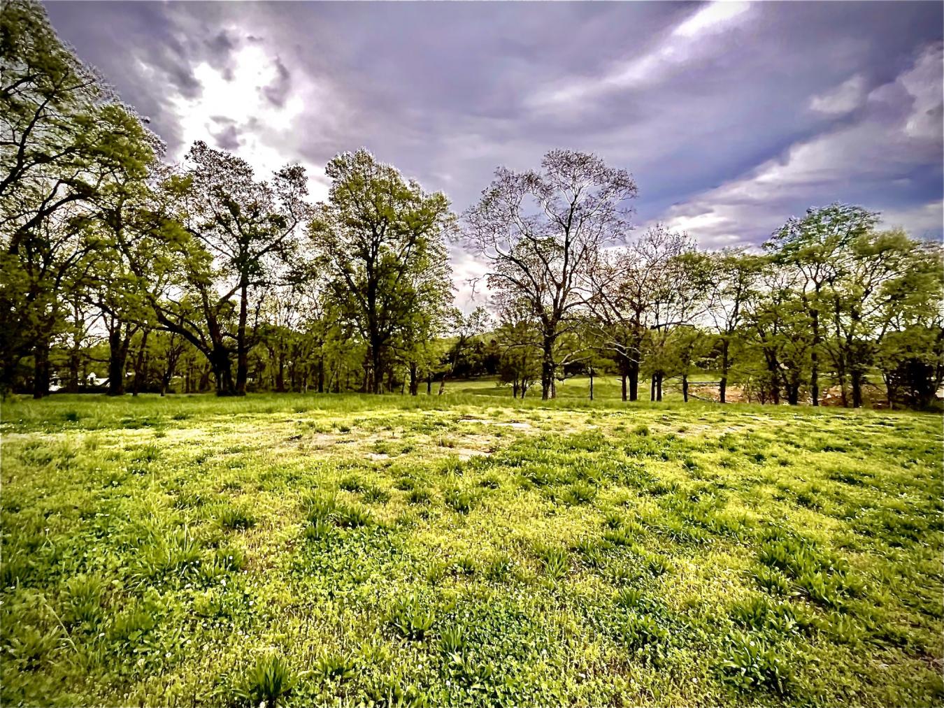 9237 Nina Court, Brentwood, TN, 37027, United States, ,Residential,For Sale,9237 Nina Court,1518796