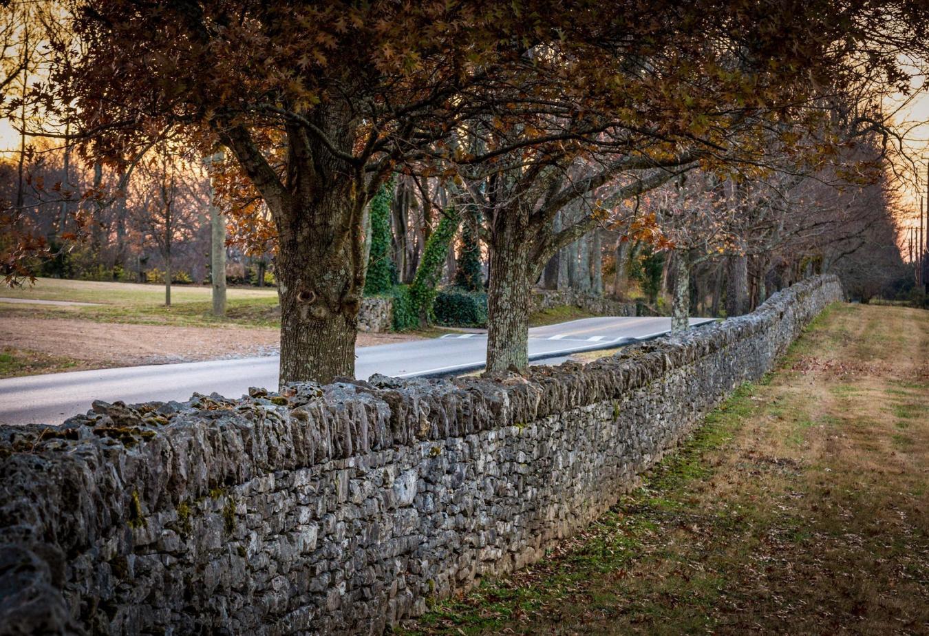 9237 Nina Court, Brentwood, TN, 37027, United States, ,Residential,For Sale,9237 Nina Court,1518796