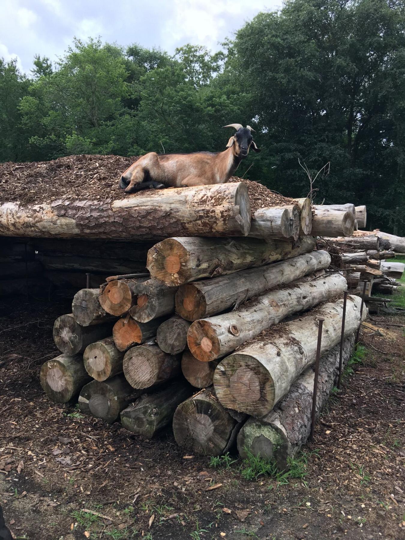 828 Harrison Avenue, Mays Landing, NJ, 08330, United States, 2 Bedrooms Bedrooms, ,1 BathroomBathrooms,Residential,For Sale,828 Harrison Avenue,1522548