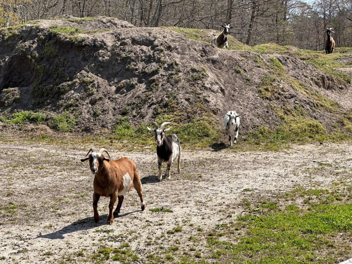 828 Harrison Avenue, Mays Landing, NJ, 08330, United States, 2 Bedrooms Bedrooms, ,1 BathroomBathrooms,Residential,For Sale,828 Harrison Avenue,1522548